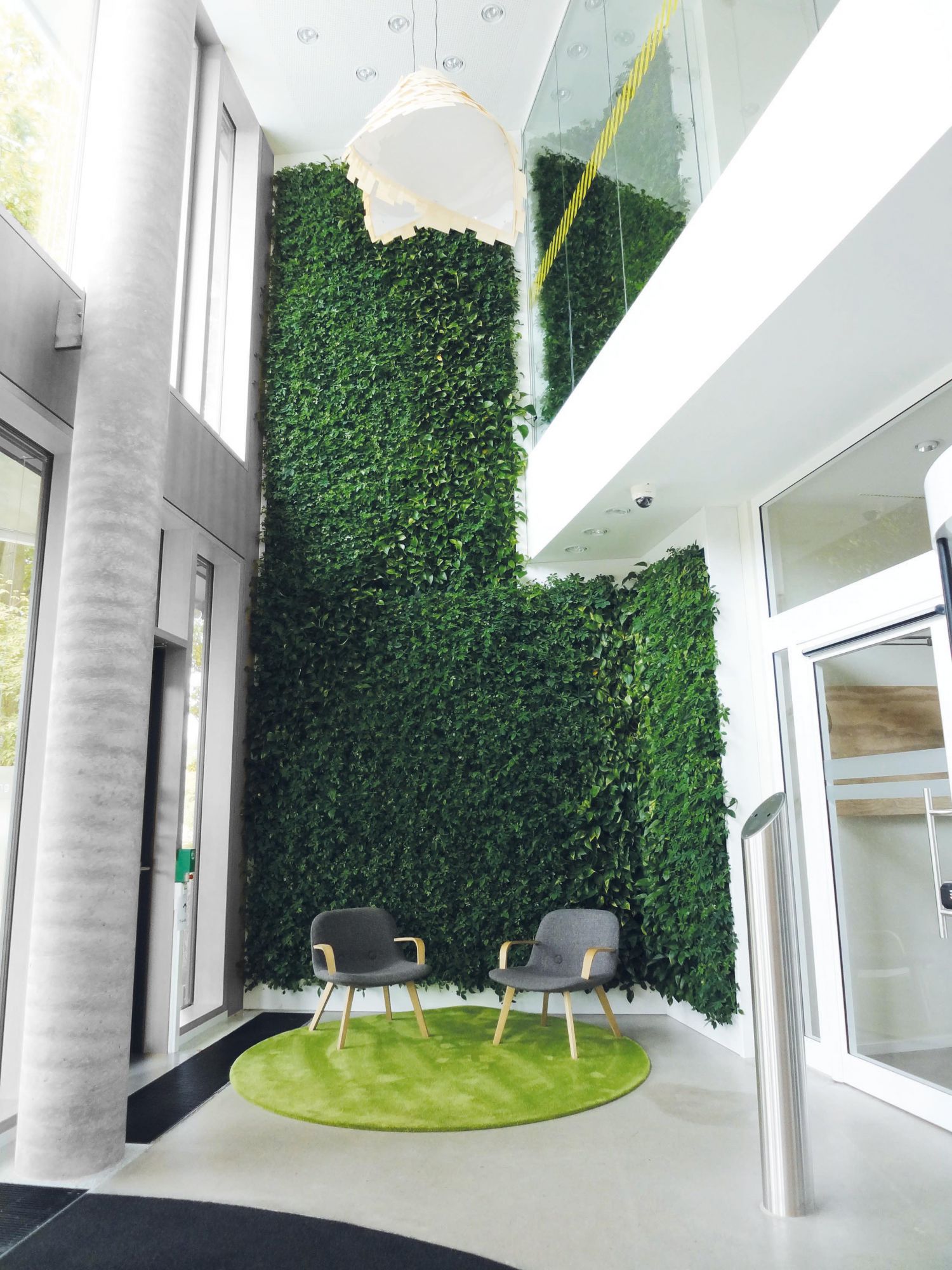 interior green wall Just Plants