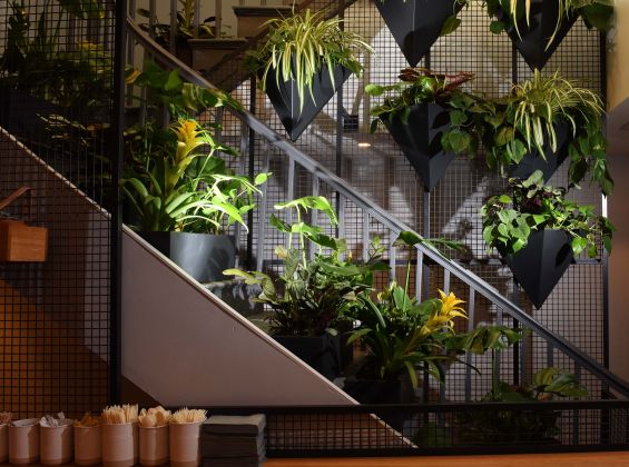Plants incorporated in restaurant designs  