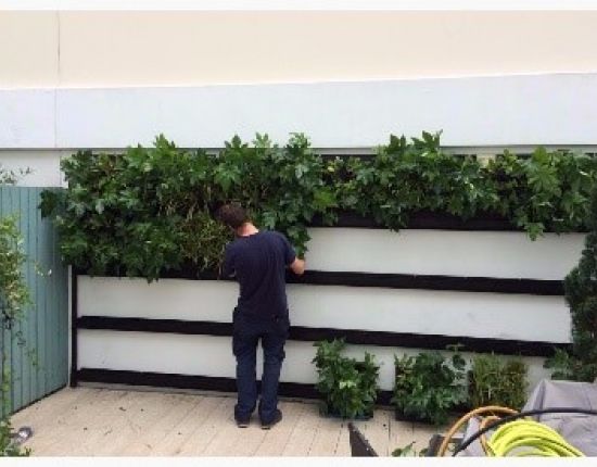 LivePanel green wall for modern town house 